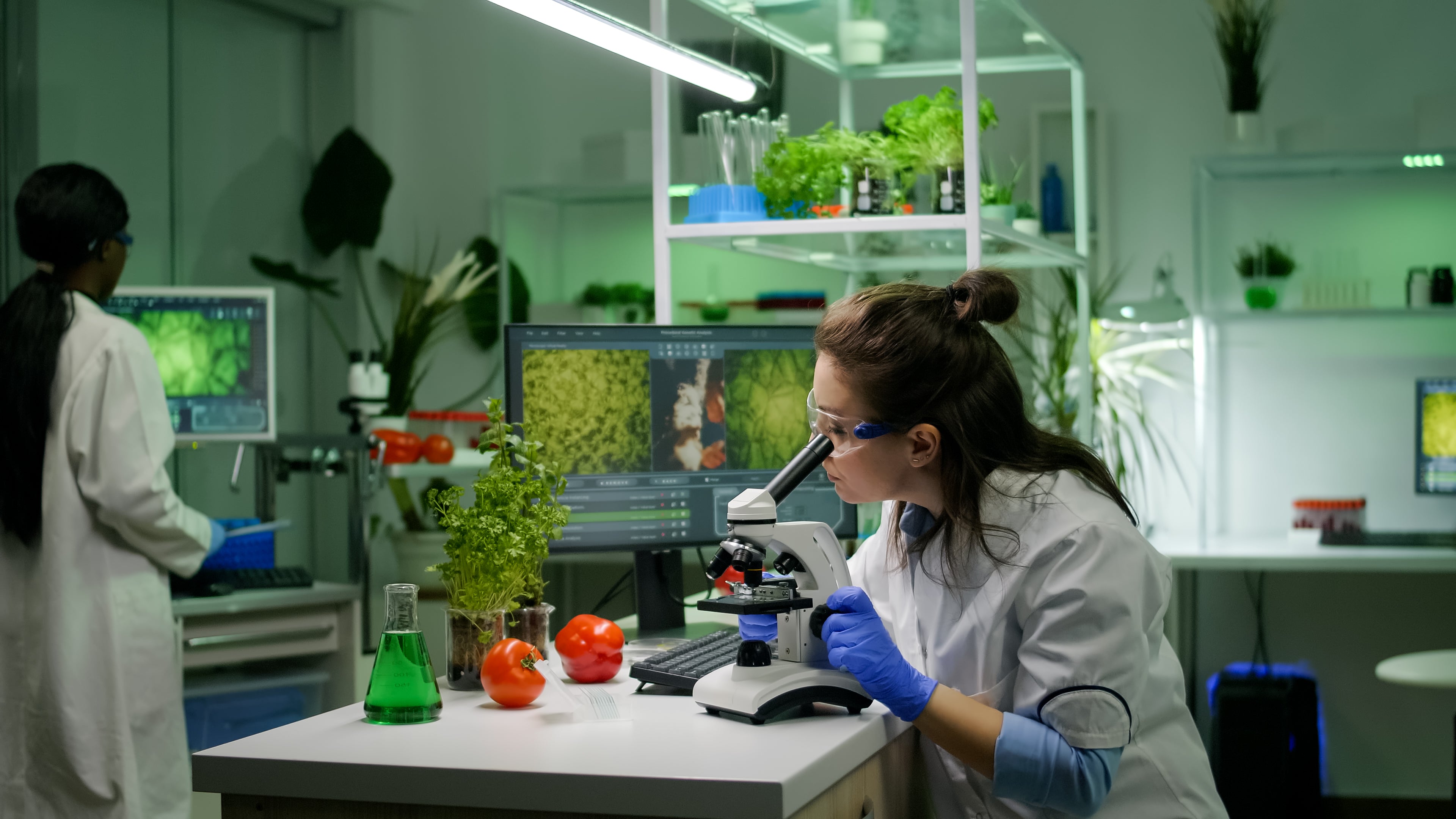 Female biologist researcher analyzing botanical samples under microscope in modern laboratory with computer monitors, fresh plants, and scientific equipment demonstrating Mirror Youth's commitment to rigorous plant-based supplement research and development
